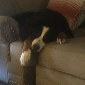 Meet your Posher, Marikka